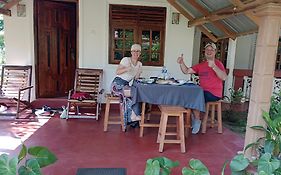 Jungle Eco Lodge & Safari